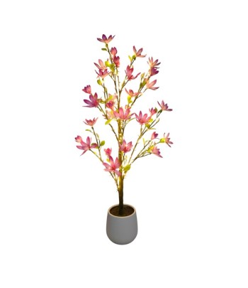 LED(180L) Pink Magnolia...