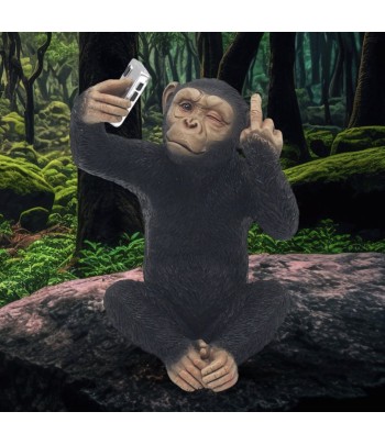 Cheeky Monkey Selfie Time