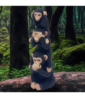 Cheeky Monkey See, Hear &...