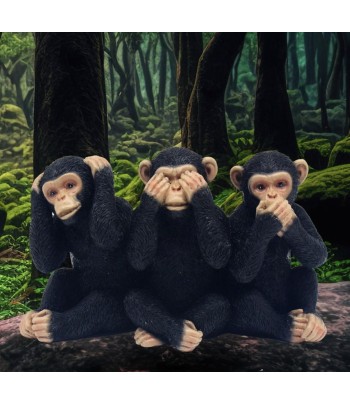 Cheeky Monkey See, Hear &...