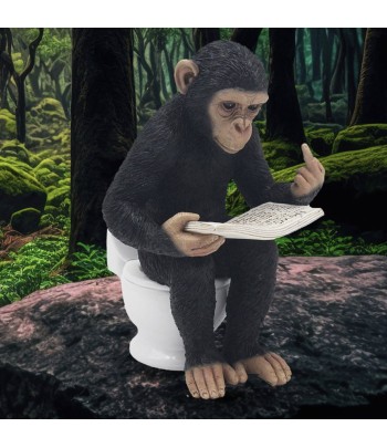 Cheeky Monkey On The Loo...