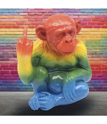 Rainbow Monkey 28cm