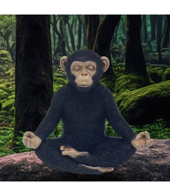 Cheeky Monkey - Yoga
