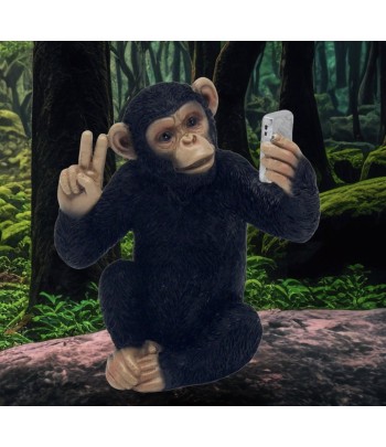 Cheeky Monkey - Selfie