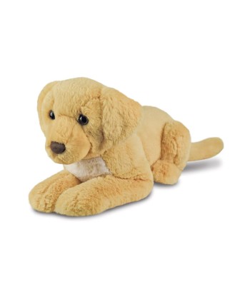 Borealis - Bertie Labrador...