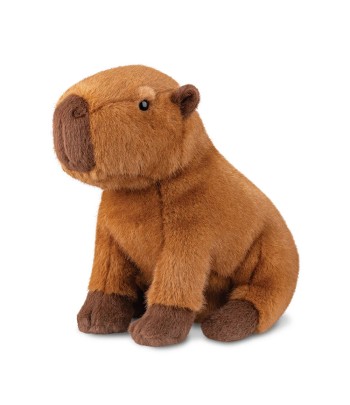 Borealis - Ralph Capybara...