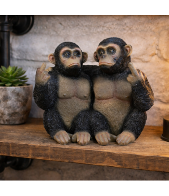 Up Yours Monkeys Brothers