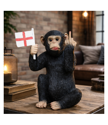 Up Yours Monkey With Flag