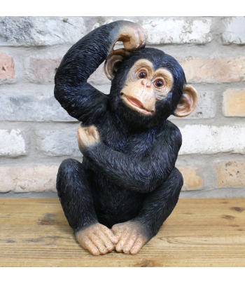 Scratching Monkey