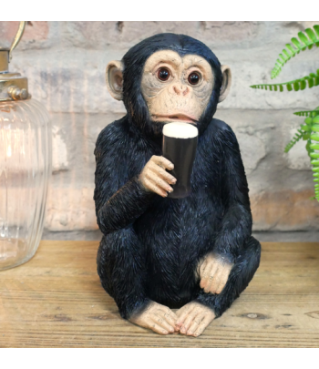 Monkey McGuinness