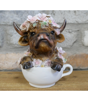 Highland Cow In Tea Cup