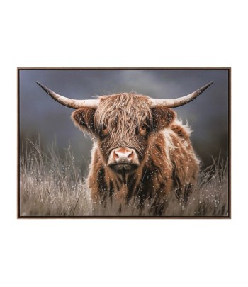 Acrylic Highland Cow Art...