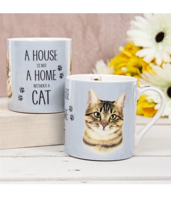 "Tabby Cat" House Is Not A...