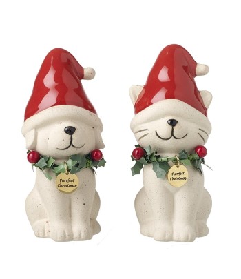 Cat & Dog In Christmas Hats...
