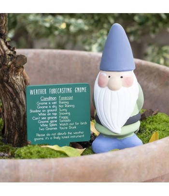Novelty Garden Gnome...