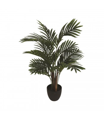Areca Palm Tree 70cm