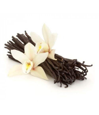 Vanilla Sri Sai Essential...