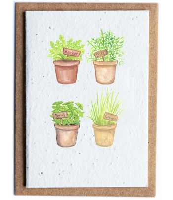 Plantable Herb Seed Card -...