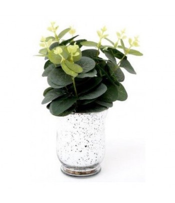 Eucalyptus In Speckled Vase