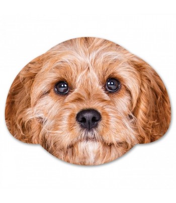 Splosh Puppy Coaster - Charlie