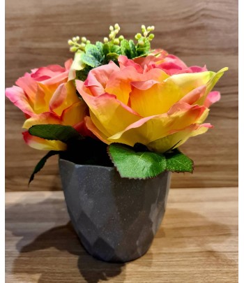 Yellow/Pink Roses In Pot